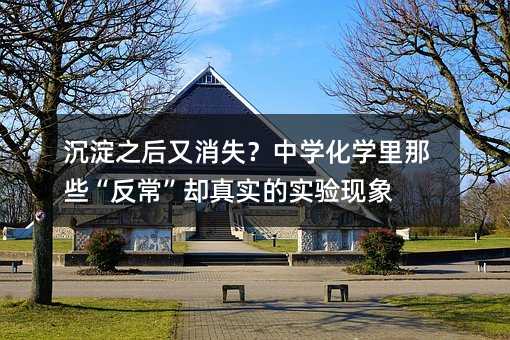 沉淀之后又消失?中学化学里那些“反常”却真实的实验现象