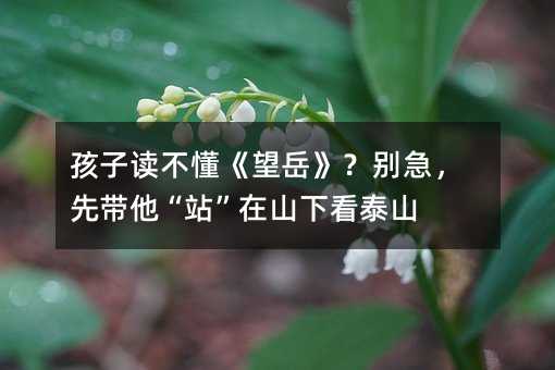 孩子读不懂《望岳》?别急,先带他“站”在山下看泰山