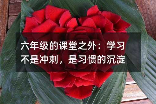 六年级的课堂之外:学习不是冲刺,是习惯的沉淀