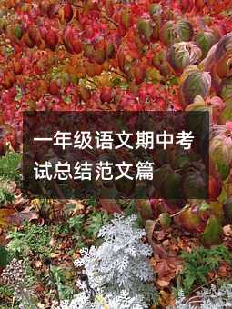 一年级语文期中考试总结范文篇
