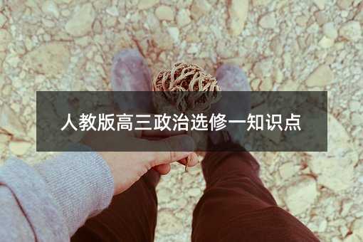 人教版高三政治选修一知识点