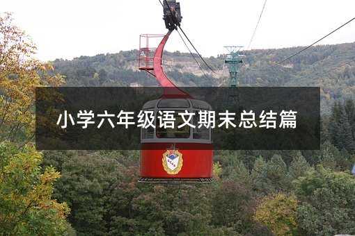 小学六年级语文期末总结篇