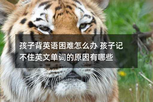 孩子背英语困难怎么办 孩子记不住英文单词的原因有哪些