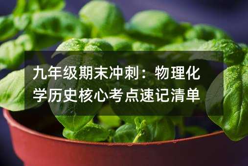 九年级期末冲刺:物理化学历史核心考点速记清单