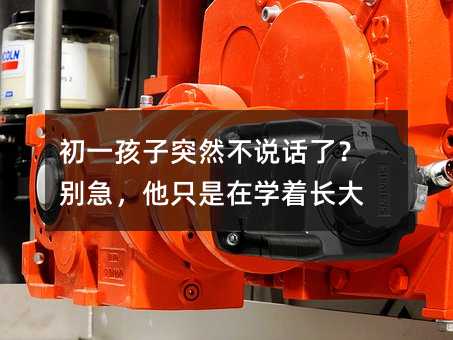 初一孩子突然不说话了?别急,他只是在学着长大