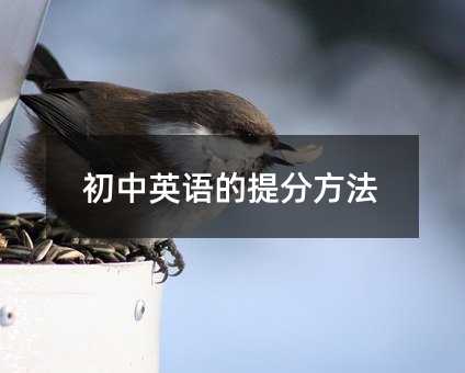 初中英语的提分方法