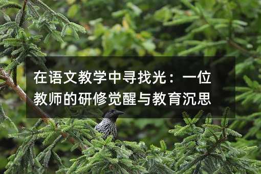 在语文教学中寻找光:一位教师的研修觉醒与教育沉思
