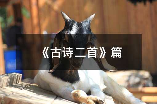 《古诗二首》篇
