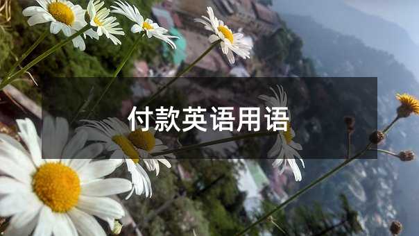 付款英语用语