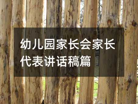 幼儿园家长会家长代表讲话稿篇
