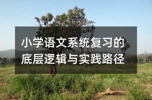 小学语文系统复习的底层逻辑与实践路径