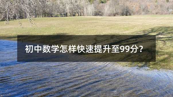 初中数学怎样快速提升至99分?