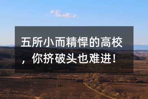 五所小而精悍的高校,你挤破头也难进!
