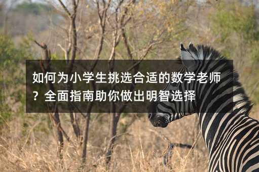 如何为小学生挑选合适的数学老师?全面指南助你做出明智选择