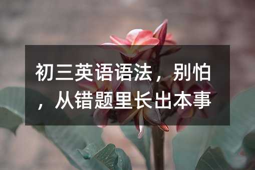 初三英语语法,别怕,从错题里长出本事