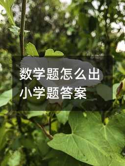 数学题怎么出小学题答案