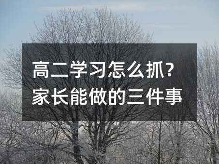 高二学习怎么抓?家长能做的三件事