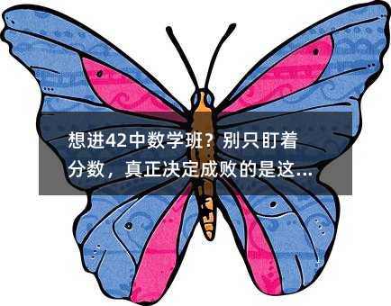 想进42中数学班?别只盯着分数,真正决定成败的是这五件事