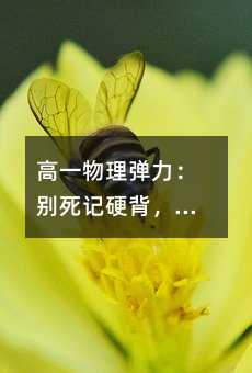 高一物理弹力:别死记硬背,搞懂这5个关键点,解题自然顺