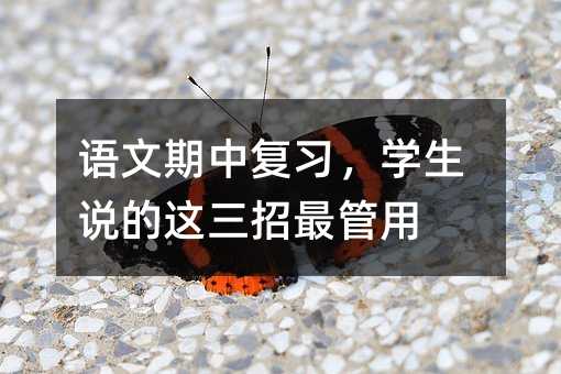 语文期中复习,学生说的这三招最管用