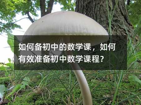 如何备初中的数学课,如何有效准备初中数学课程?
