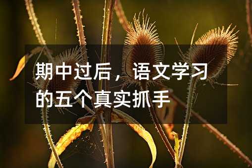 期中过后,语文学习的五个真实抓手