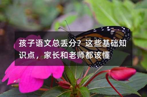 孩子语文总丢分?这些基础知识点,家长和老师都该懂