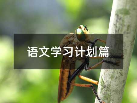 语文学习计划篇