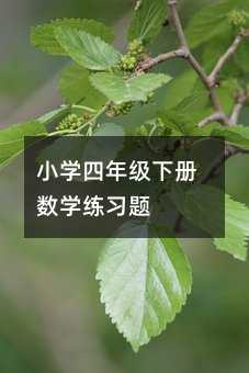 小学四年级下册数学练习题