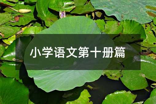 小学语文第十册篇