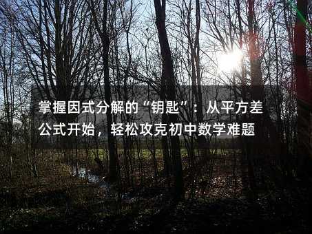 掌握因式分解的“钥匙”:从平方差公式开始,轻松攻克初中数学难题