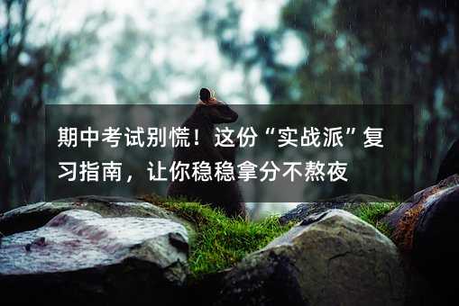 期中考试别慌!这份“实战派”复习指南,让你稳稳拿分不熬夜