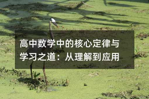 高中数学中的核心定律与学习之道:从理解到应用