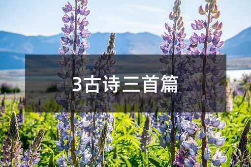 3古诗三首篇