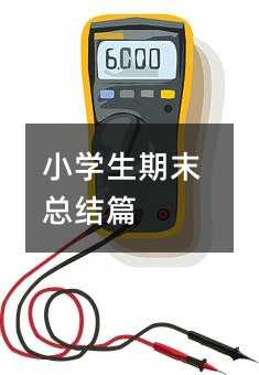 小学生期末总结篇