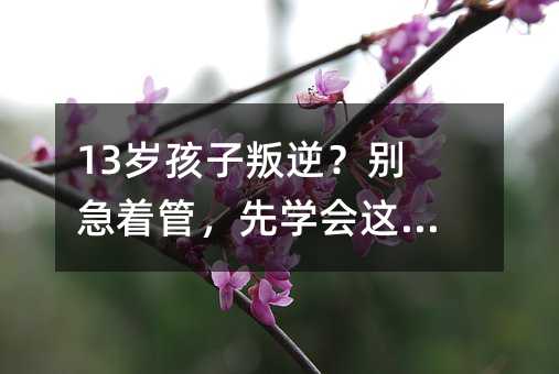 13岁孩子叛逆?别急着管,先学会这四件事