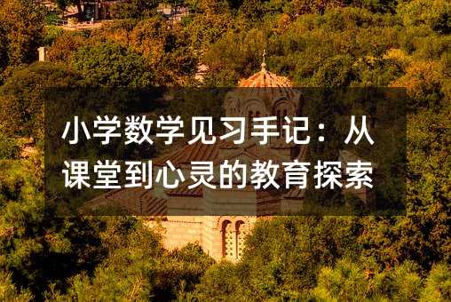 小学数学见习手记:从课堂到心灵的教育探索