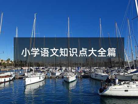小学语文知识点大全篇