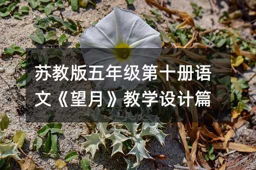 苏教版五年级第十册语文《望月》教学设计篇
