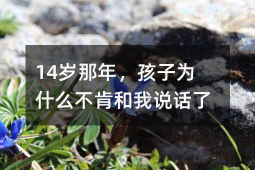 14岁那年,孩子为什么不肯和我说话了