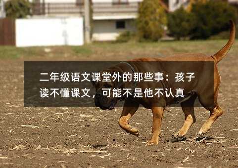 二年级语文课堂外的那些事:孩子读不懂课文,可能不是他不认真