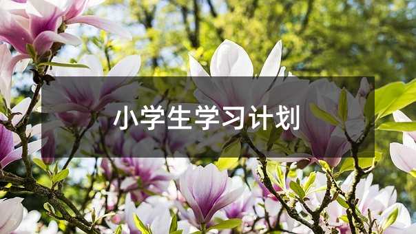 小学生学习计划