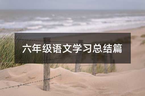 六年级语文学习总结篇