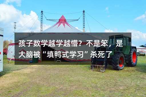 孩子数学越学越懵?不是笨,是大脑被“填鸭式学习”杀死了
