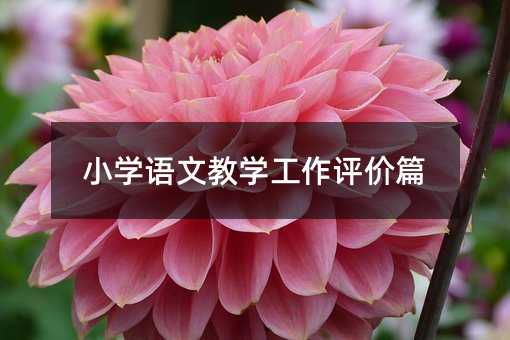 小学语文教学工作评价篇