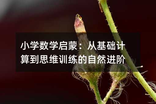 小学数学启蒙:从基础计算到思维训练的自然进阶