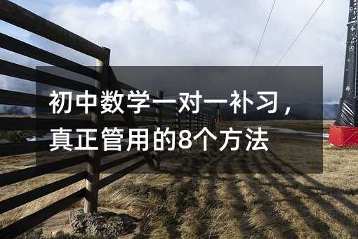 初中数学一对一补习,真正管用的8个方法