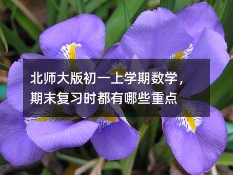 北师大版初一上学期数学,期末复习时都有哪些重点