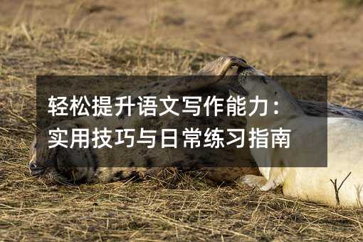 轻松提升语文写作能力:实用技巧与日常练习指南