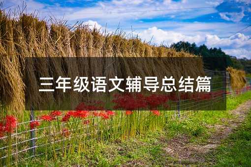 三年级语文辅导总结篇